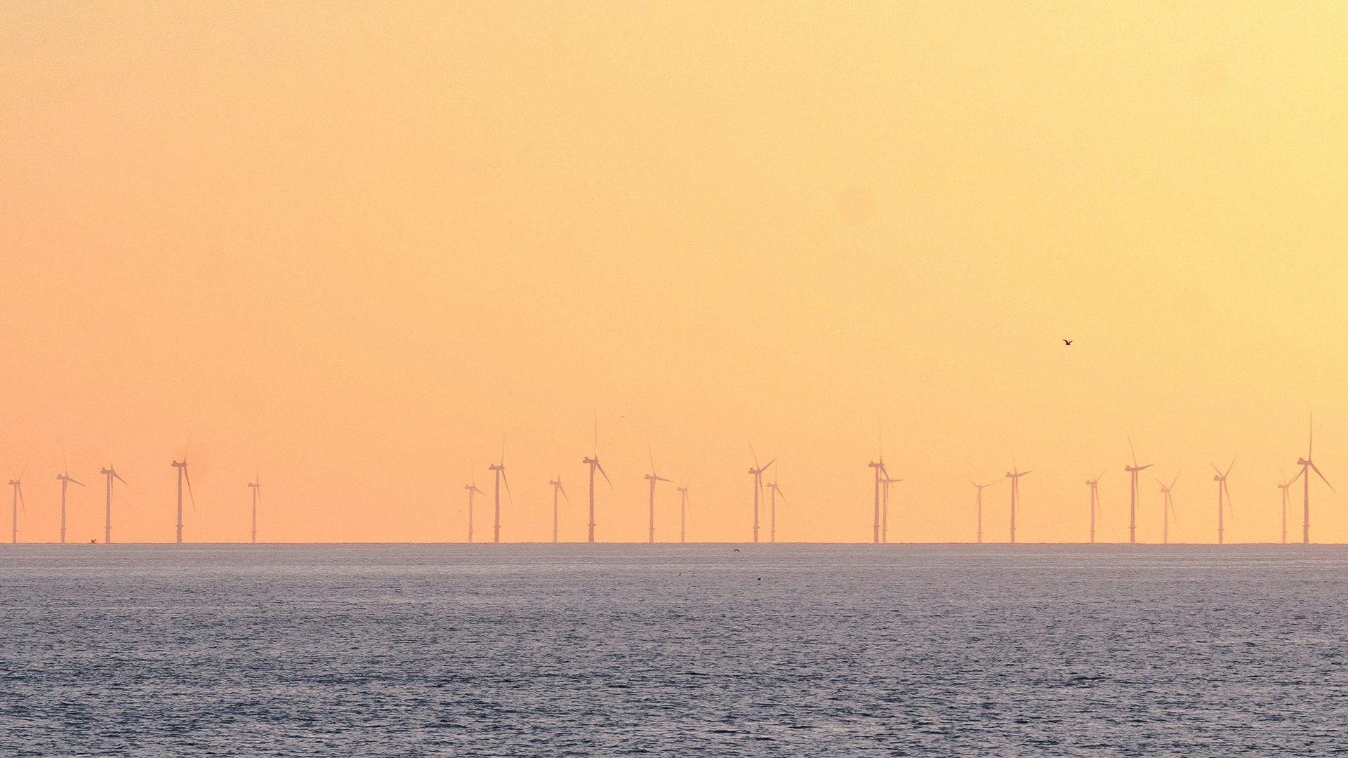#1031 Energy Wind farm PPT Wide